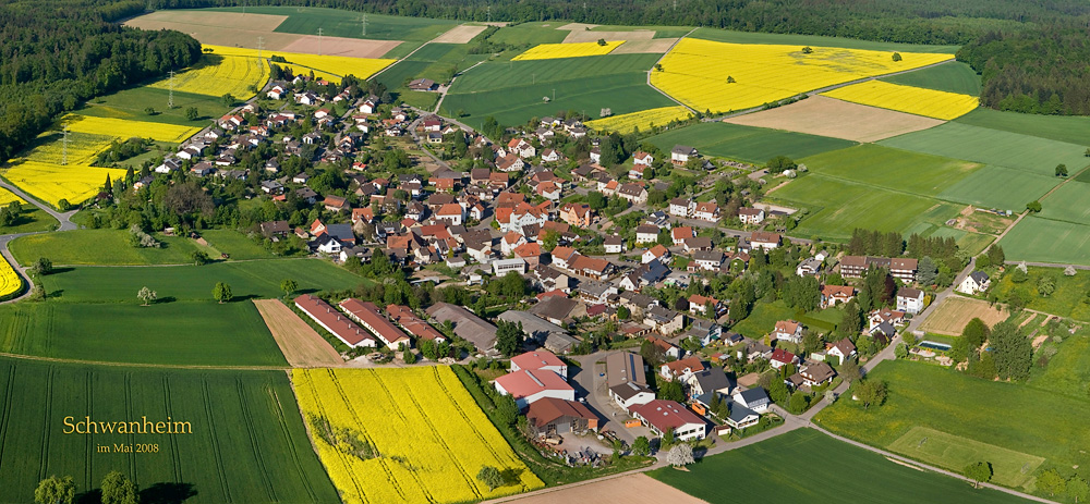 Luftbild von Schwanheim 2008