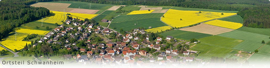 Luftbild Schwanheim