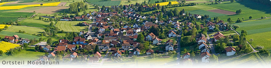Luftbild Moosbrunn